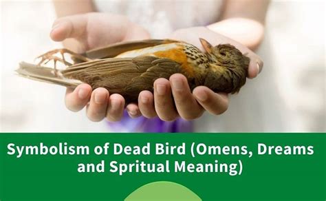 Cultural Perspectives on Symbolic Bird Dreams