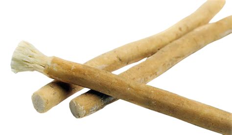 Cultural Significance of Chewing Sticks in Various Societies