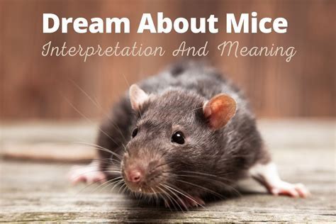 Cultural Significance of Mice in Dream Folklore