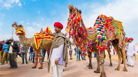 Cultural Symbolism: The Camel Horse in Different Traditions