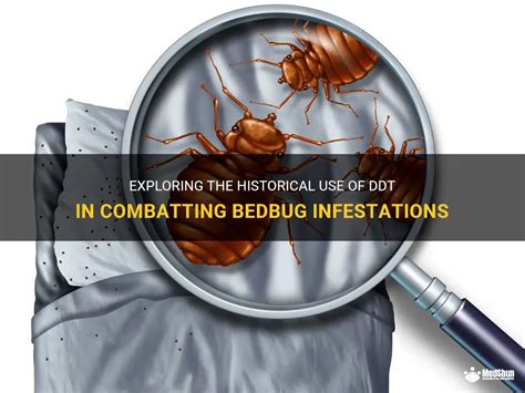 Cultural and Historical Significance of Dreams Related to Bedbug Infestations