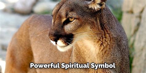 Cultural and Spiritual Perspectives: The Puma in Mythology