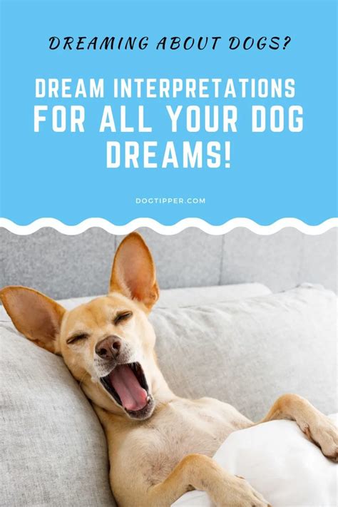 Cultural beliefs and interpretations of dreaming about canines