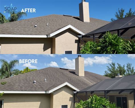 DIY vs Professional Roof Cleaning: Pros and Cons