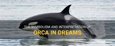 Dangers Beneath the Surface: Exploring the Symbolism of Orca Encounters in Dreams