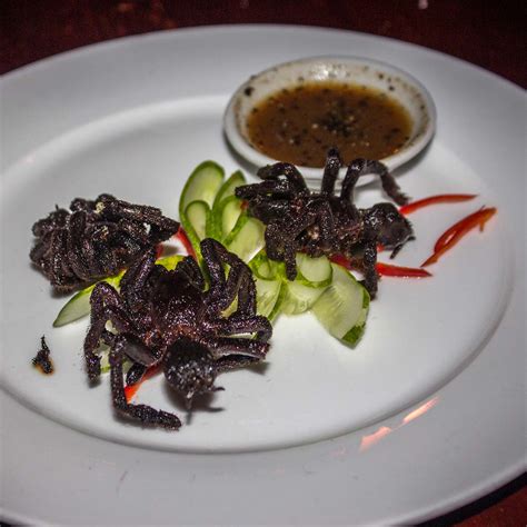 Dare to Indulge: Try the Unusual Delight of Consuming Tarantula