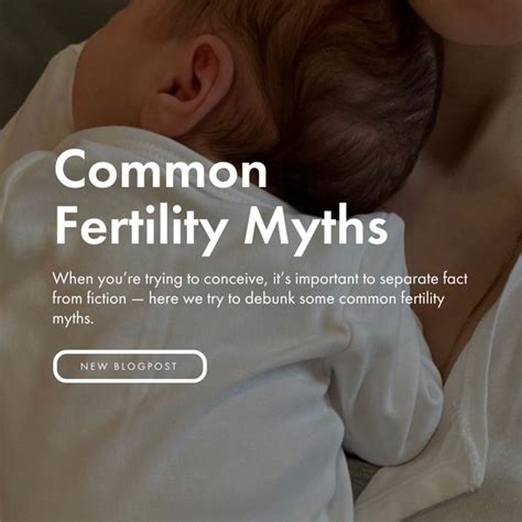 Debunking Common Myths About Conception