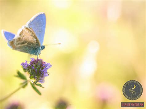 Deciphering Butterfly Dreams: Unlocking the Hidden Messages