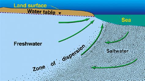 Deciphering Water Intrusion: Unraveling its Significance