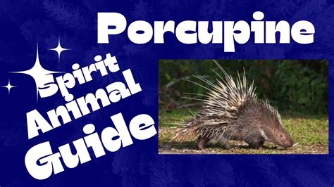 Deciphering the Enigma: Unveiling the Significance of a Deceased Porcupine in One's Dreams