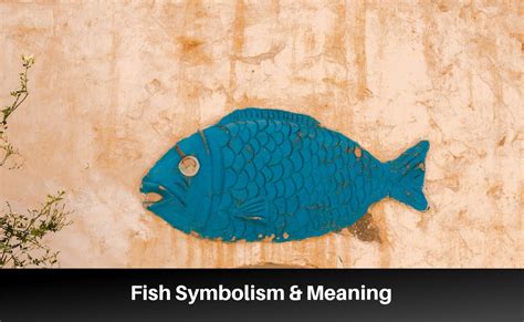 Deciphering the Enigmatic Significance of the Fish Symbolism