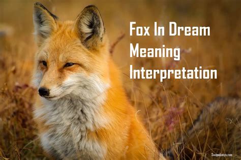 Deciphering the Meaning of a Pursuing Fox in Dreams