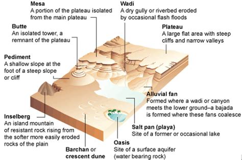 Deciphering the Personal Significance of Your Arid Terrain Vision