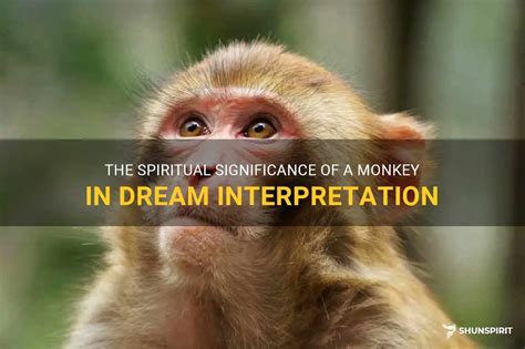 Deciphering the Significance of Monkey Birth Dreams