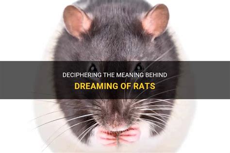 Deciphering the Significance of Rats Clinging onto Your Spine during Dreaming Episodes