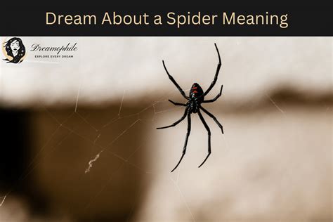 Deciphering the Significance of a Infant Arachnid in Dreams