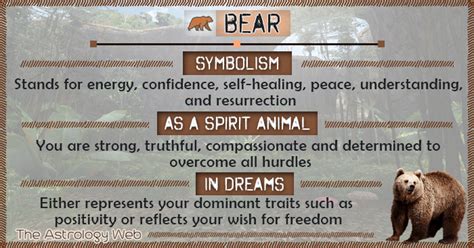 Deciphering the Significance of the Symbolic Black Bear