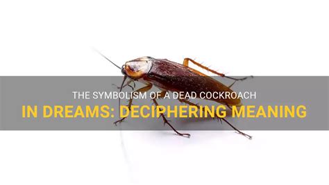 Deciphering the Symbolism Behind a Lifeless Cockroach in Your Dreams