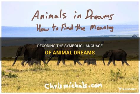 Decoding Common Animal Dreams: Unraveling Their True Significance