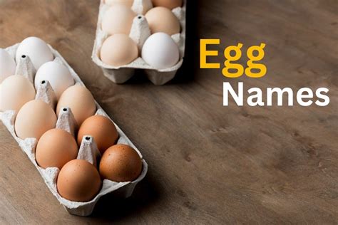 Decoding Different Varieties of Egg Dreams