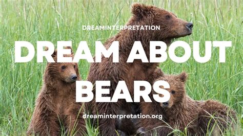 Decoding the Bear's Message: Tips for Interpreting Your Dream