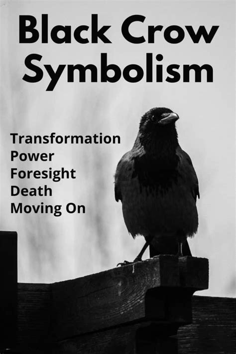 Decoding the Black Crow as an Omen of Transformation and Metamorphosis