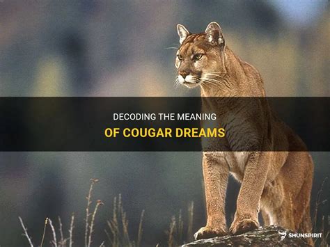 Decoding the Cougar's Representations in Dream Psychology