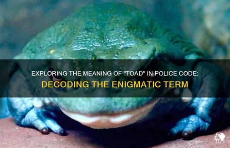 Decoding the Enigmatic Vision: Exploring the Profound Significance of a Toad's Defecation