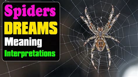 Decoding the Hidden Meanings in Enigmatic Dreams Involving Azure Spiders