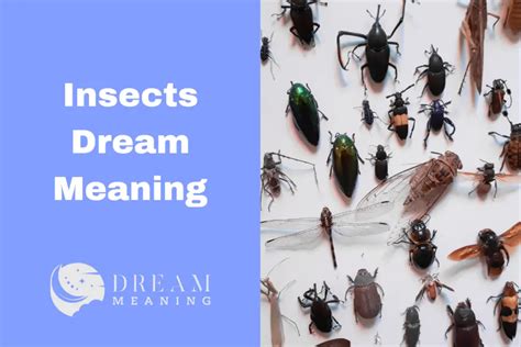 Decoding the Meaning of Insects in the Realm of Dream Psychology