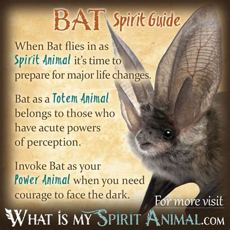 Decoding the Message: Understanding the Significance of a Bat perched on Your Cranium