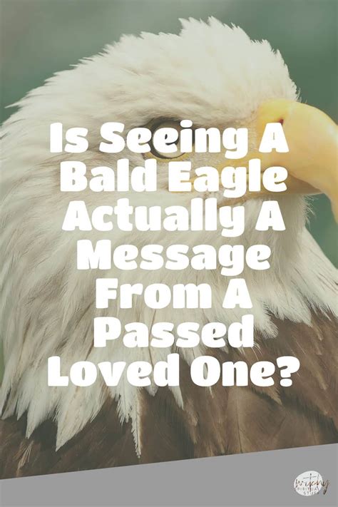 Decoding the Message of Majestic Eagles Soaring in Your Dreams