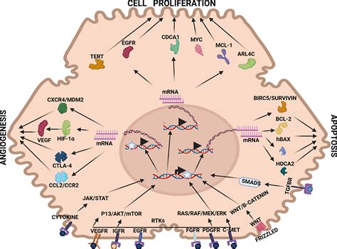 Decoding the Messages: Understanding the Symbolism in Dreams Associated with Hepatocellular Carcinoma