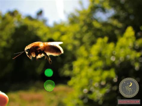 Decoding the Messages in Dreams of Pursuing Bees: Unveiling Hidden Meanings