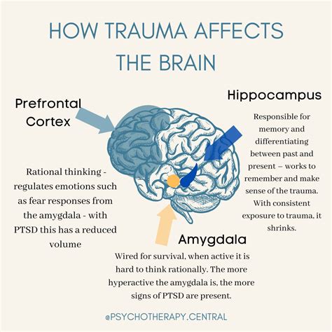 Decoding the Mind: Unraveling the Influence of Trauma on Nightmares