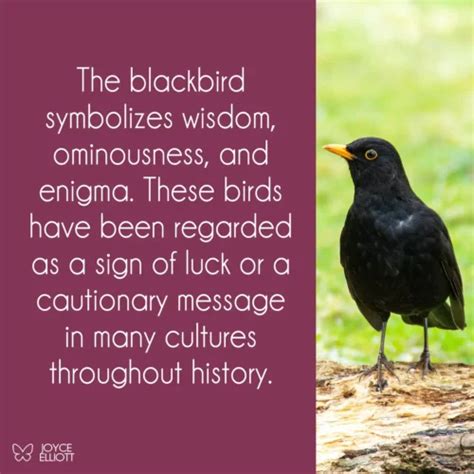 Decoding the Mystery: Techniques for Interpreting the Hidden Meaning of the Enigmatic Blackbird