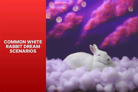 Decoding the Rabbit in Dreams: Unraveling Its Meaning