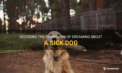 Decoding the Significance of Dreaming About a Stray Canine