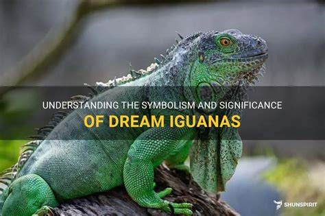 Decoding the Significance of an Iguana Manifestation in Dreamscapes