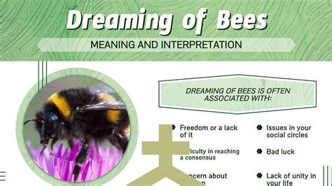 Decoding the Significance of the Transformation from Bee to Human