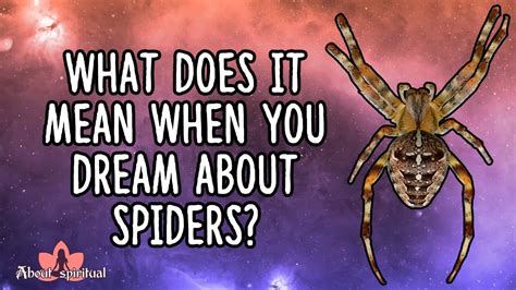 Decoding the Spider's Web through the Language of Dreams