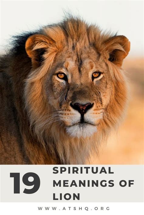 Decoding the Spiritual Significance of a Lion's Presence in Our Sleeping Visions