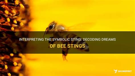 Decoding the Sting from a Bee's Attack