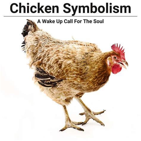 Decoding the Subliminal Messages within Poultry-Related Dreams