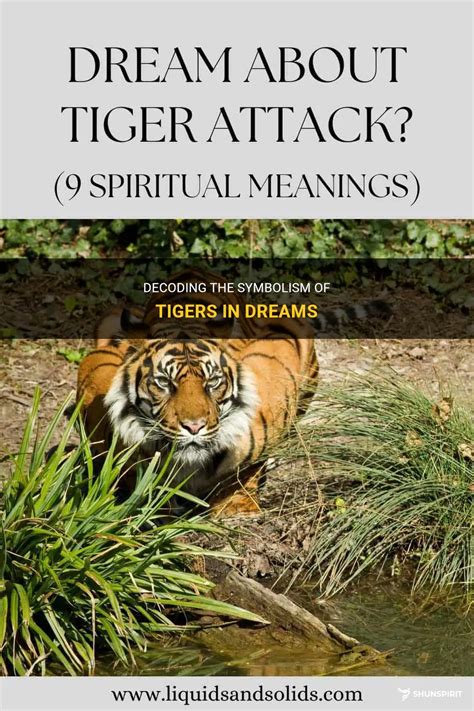 Decoding the Symbolic Meanings of Tigers in Dreams