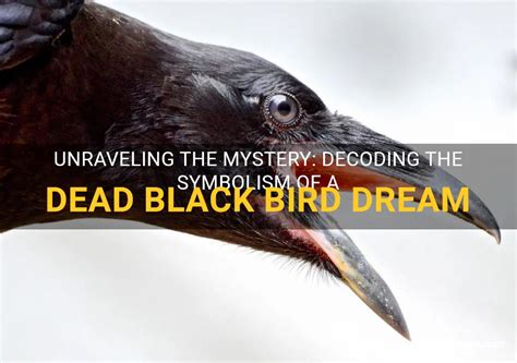 Decoding the Symbolic Messages within a Black Bird Dream