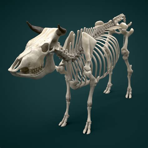 Decoding the Symbolic Significance of Bovine Skeletal Remains in One's Dreamscapes