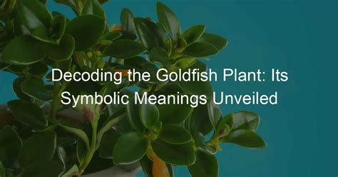 Decoding the Symbolic Significance of Goldfish: A Deeper Understanding