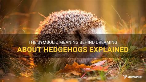 Decoding the Symbolism: Exploring the Significance of a Hedgehog Bite in Dreams