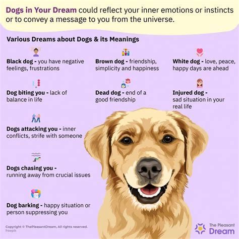 Decoding the Symbolism in a Canine Shooting Vision